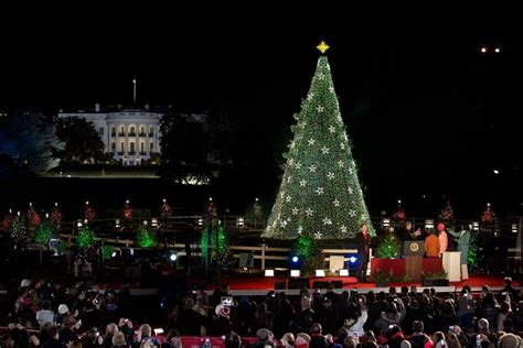 White House Christmas tree shines bright at lighting ceremony